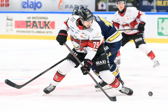 Malmö Redhawks Jakub Galvas