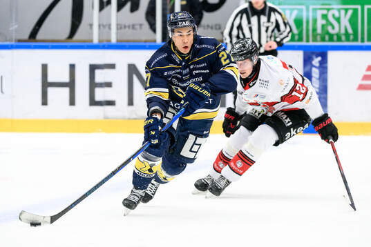 HV71s Jonathan Ang och Malmö Redhawks Linus Öberg