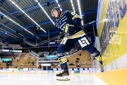 HV71s Wilhelm Hallquisth