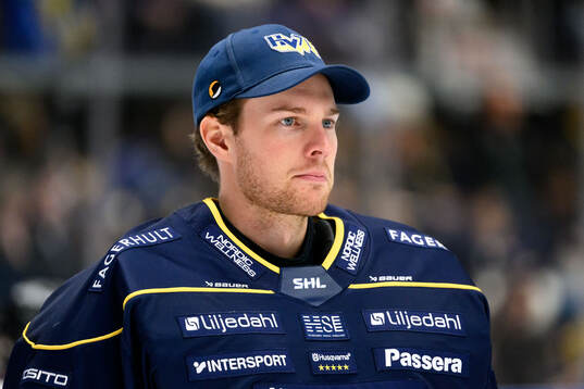 HV71s målvakt Hugo Alnefelt