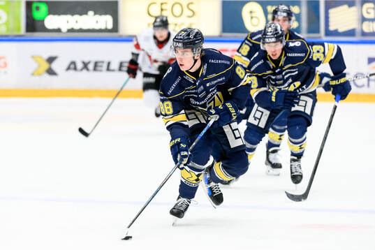HV71s Herman Träff