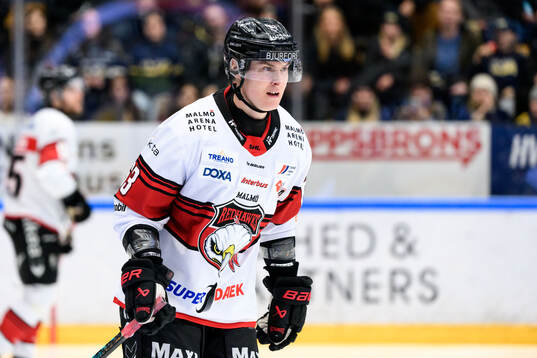 Malmö Redhawks Fredrik Händemark deppar