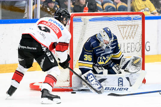 Malmö Redhawks Johan Olofsson och HV71s målvakt Olof
