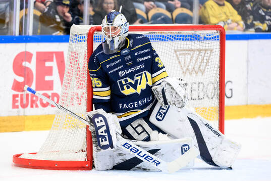 HV71s målvakt Olof Glifford