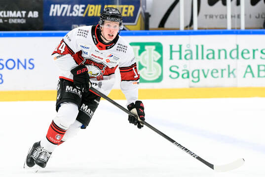 Malmö Redhawks Otto Stenberg