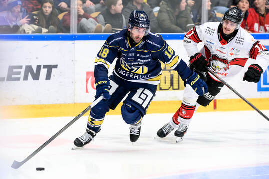 HV71s Joseph Laleggia och Malmö Redhawks Nikola Pasic
