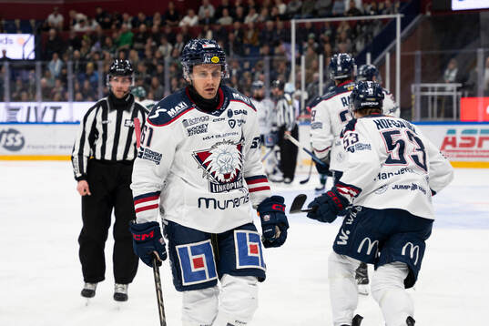 Linköpings Markus Ljungh deppar