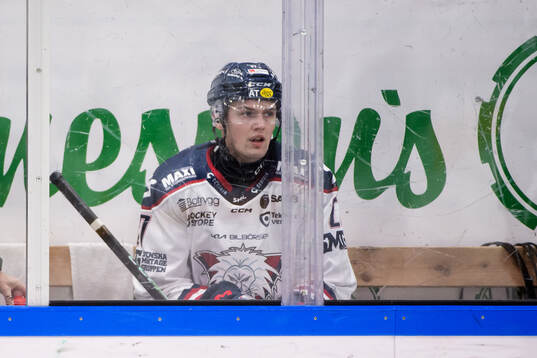 Linköpings Johan Johnsson utvisad