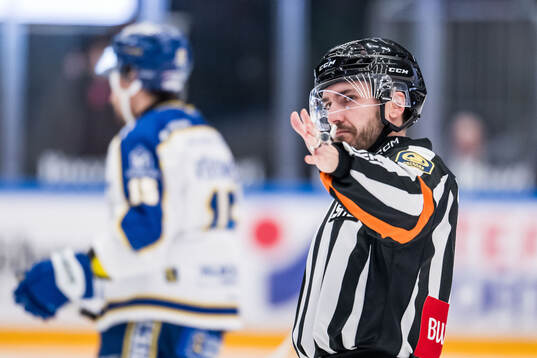 Domare Mattias Enroth