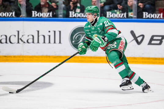 Under ishockeymatchen i SHL mellan Rögle och Leksand