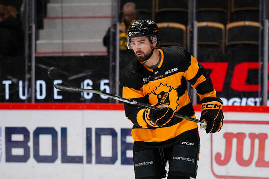Skellefteås Luke Witkowski