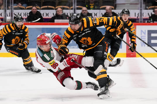Bläddra bland fler bilder av Ishockey, SHL, Skellefteå - Modo