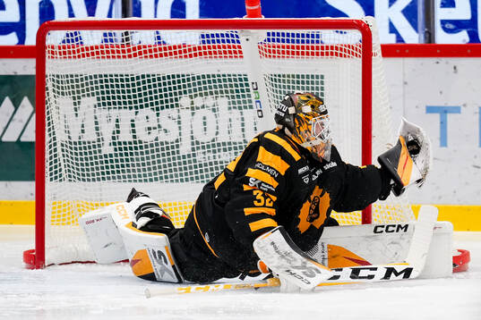 Skellefteås målvakt Linus Söderström