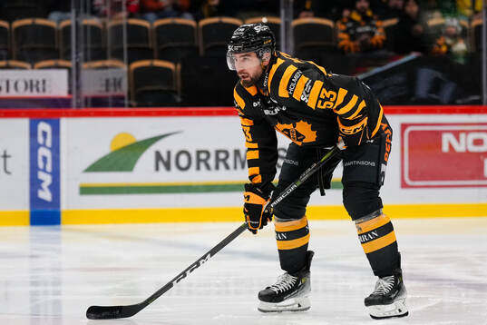 Skellefteås Luke Witkowski