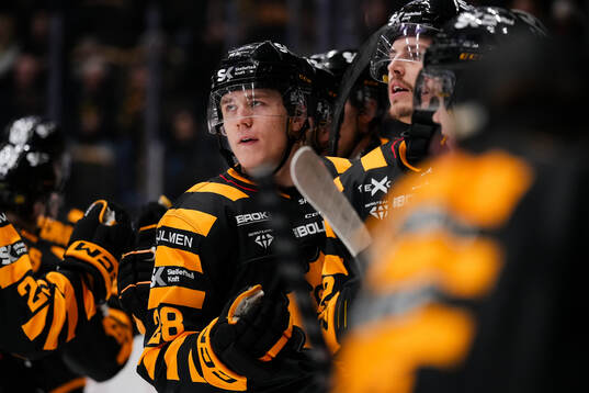 Skellefteås Michael Brandsegg-Nygård