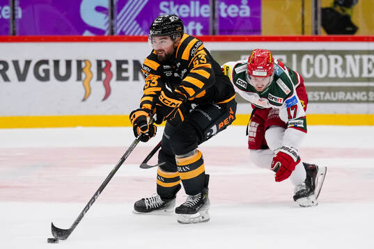 Skellefteås Luke Witkowski och Modos Riley Woods