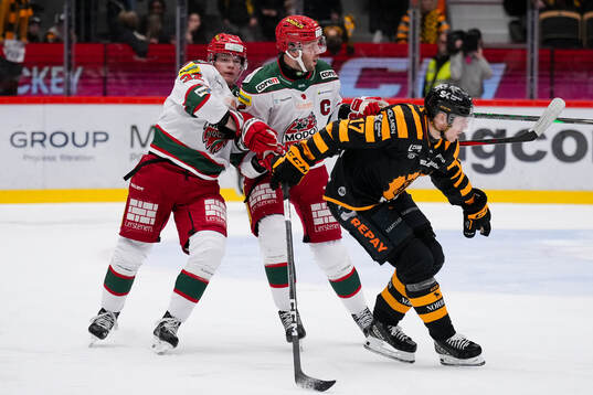 Modos Theodor Niederbach och David Rundblad