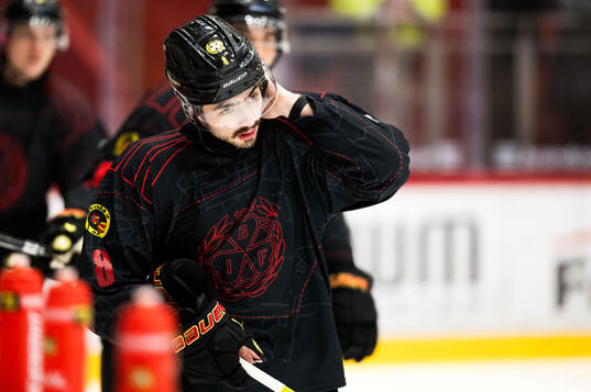 Brynäs Bobby Trivigno