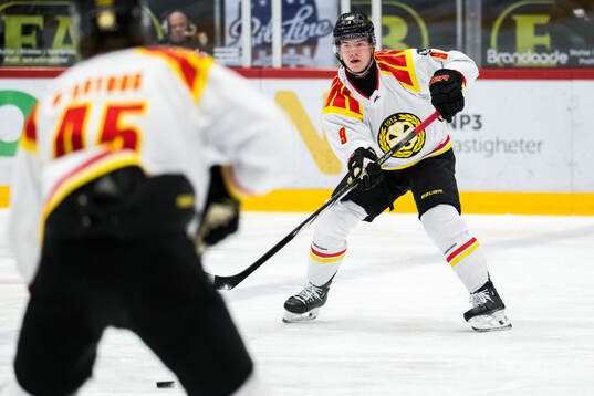 Brynäs Victor Söderström