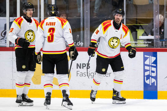 Brynäs Anton Rödin jublar