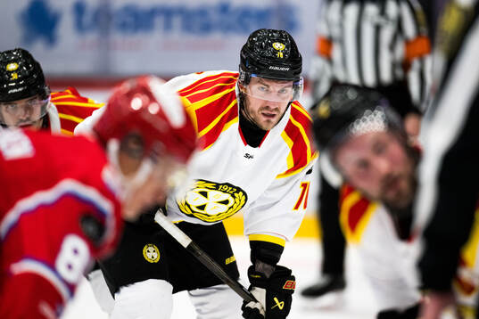 Brynäs Tyler Vesel