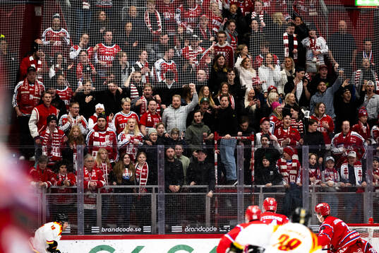 Timråsupportarna jublar
