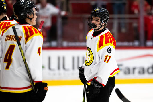 Brynäs Michal Svrcek deppar