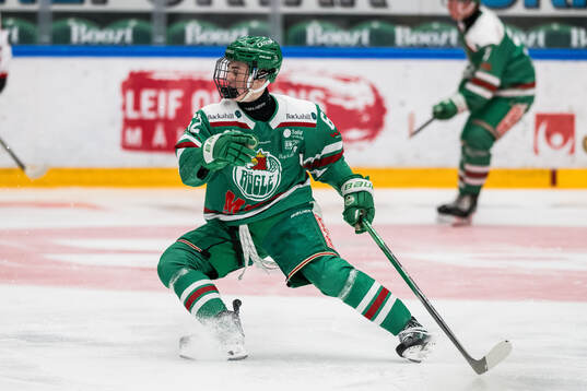 Rögles Douglas Flygt