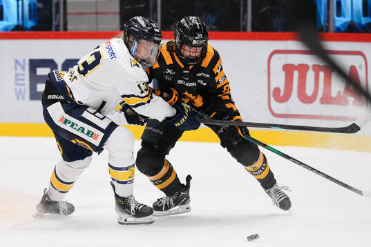 Bläddra bland fler bilder av Ishockey, SDHL, Skellefteå - HV71