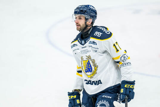 Södertäljes Amil Krupic
