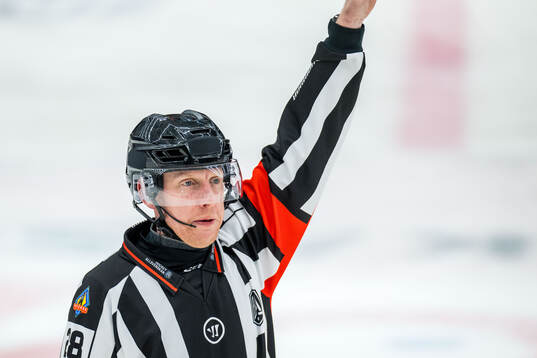 Domare Mikael Holm