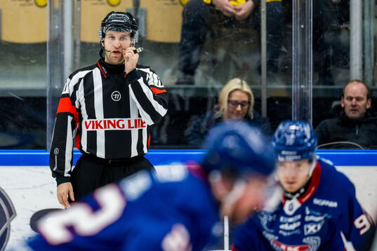 Domare Niklas Johansson
