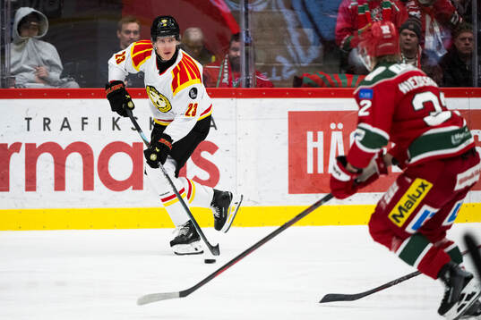 Bläddra bland fler bilder av Ishockey, SHL, Modo - Brynäs