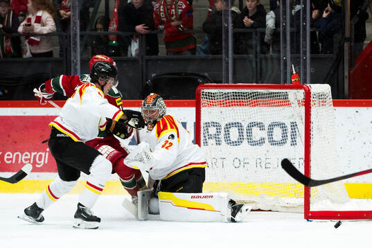 Brynäs Ludvig Persson