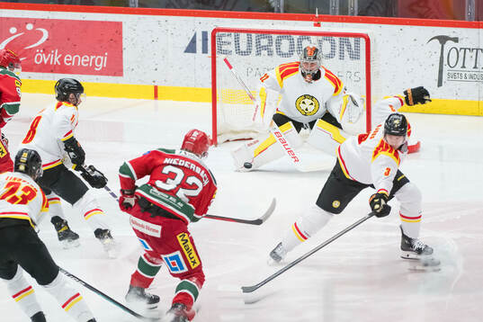 Brynäs målvakt Ludvig Persson