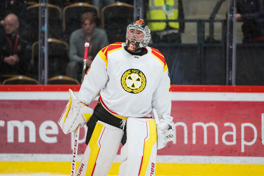 Brynäs målvakt Ludvig Persson