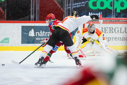 Brynäs målvakt Ludvig Persson