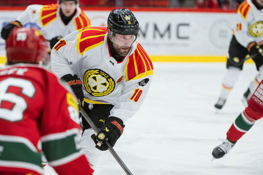 Brynäs Johan Larsson