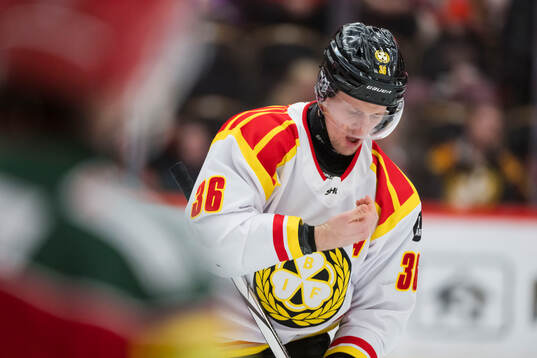 Brynäs Linus Ölund