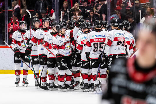 Malmö Redhawks juble