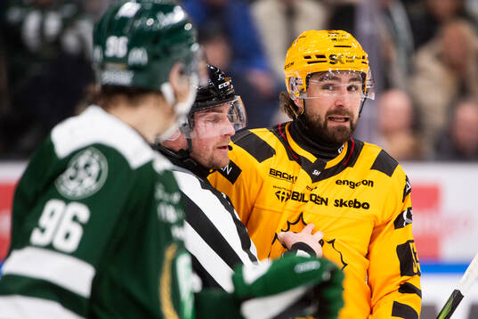 Färjestads David Tomasek och Skellefteås Luke Witkowski