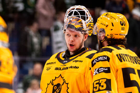 Skellefteås målvakt Linus Söderström
