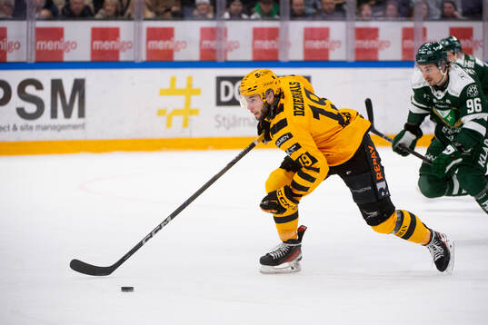 Skellefteås Martins Dzierkals och Färjestads David Tomasek