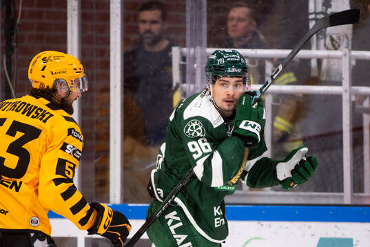 Skellefteås Luke Witkowski och Färjestads David Tomasek