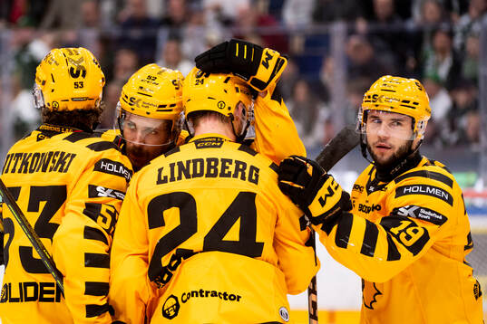 Skellefteås spelare jublar