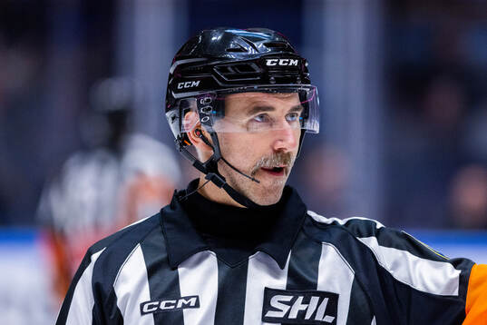Domaren Linus Öhlund