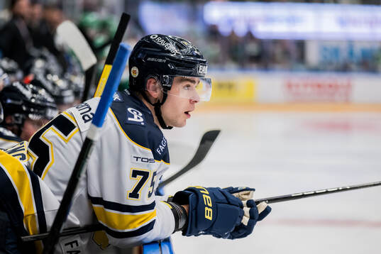 HV71s Radan Lenc