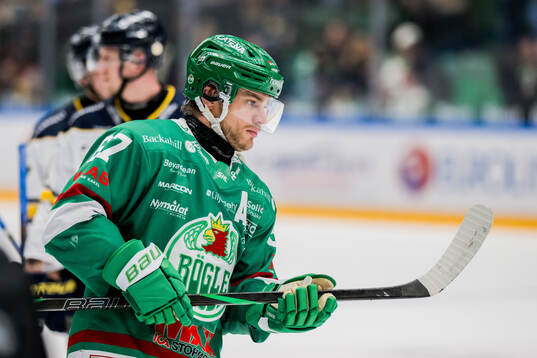 Rögles Leon Bristedt