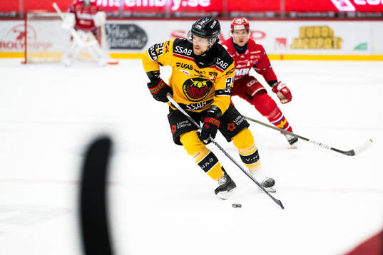 Luleås Brendan Shinnimin