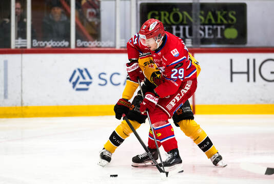 Timrås Filip Hållander